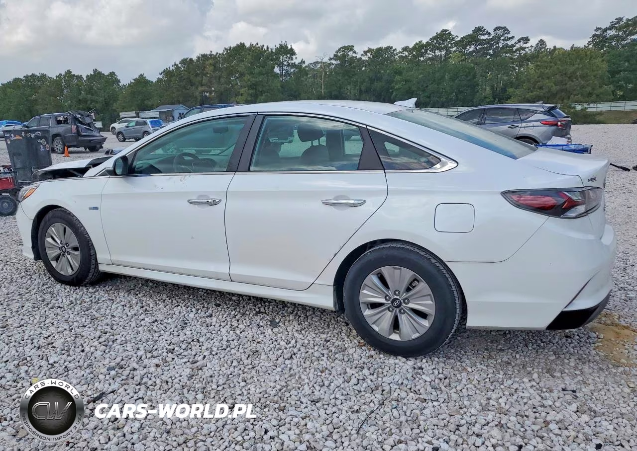 2019 Hyundai Sonata Hybrid Se VIN:KMHE24L38KA091685 - 2