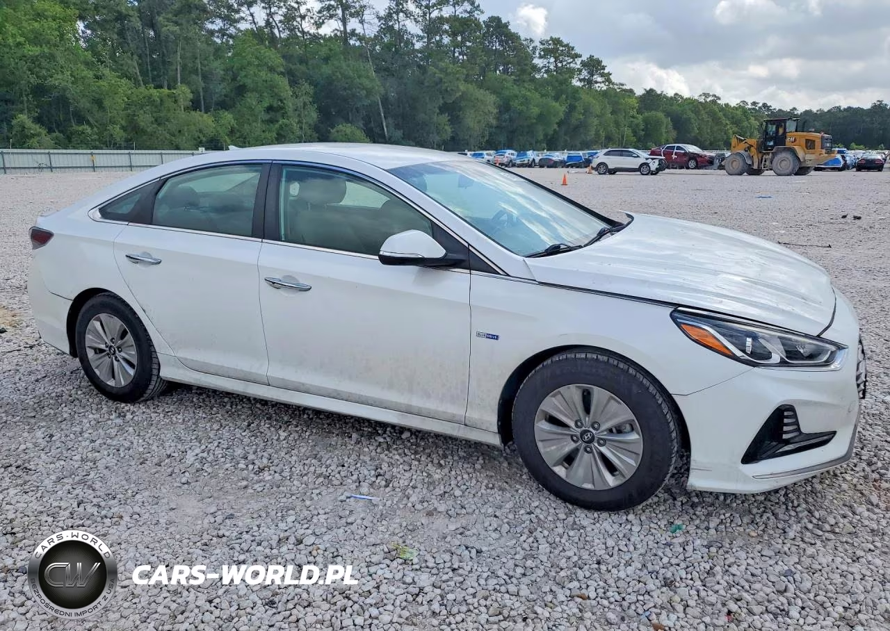 2019 Hyundai Sonata Hybrid Se VIN:KMHE24L38KA091685 - 4