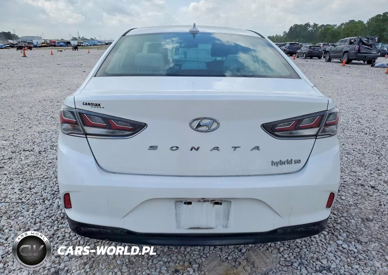 2019 Hyundai Sonata Hybrid Se VIN:KMHE24L38KA091685 - 6