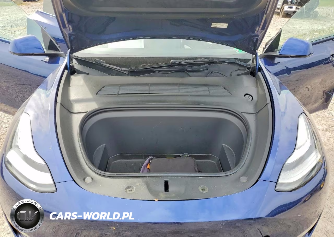 2022 Tesla Model Y VIN:7SAYGDEE0NF517319 - 11