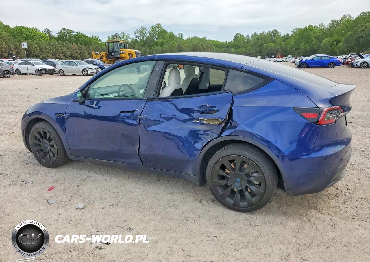 2022 Tesla Model Y VIN:7SAYGDEE0NF517319 - 2