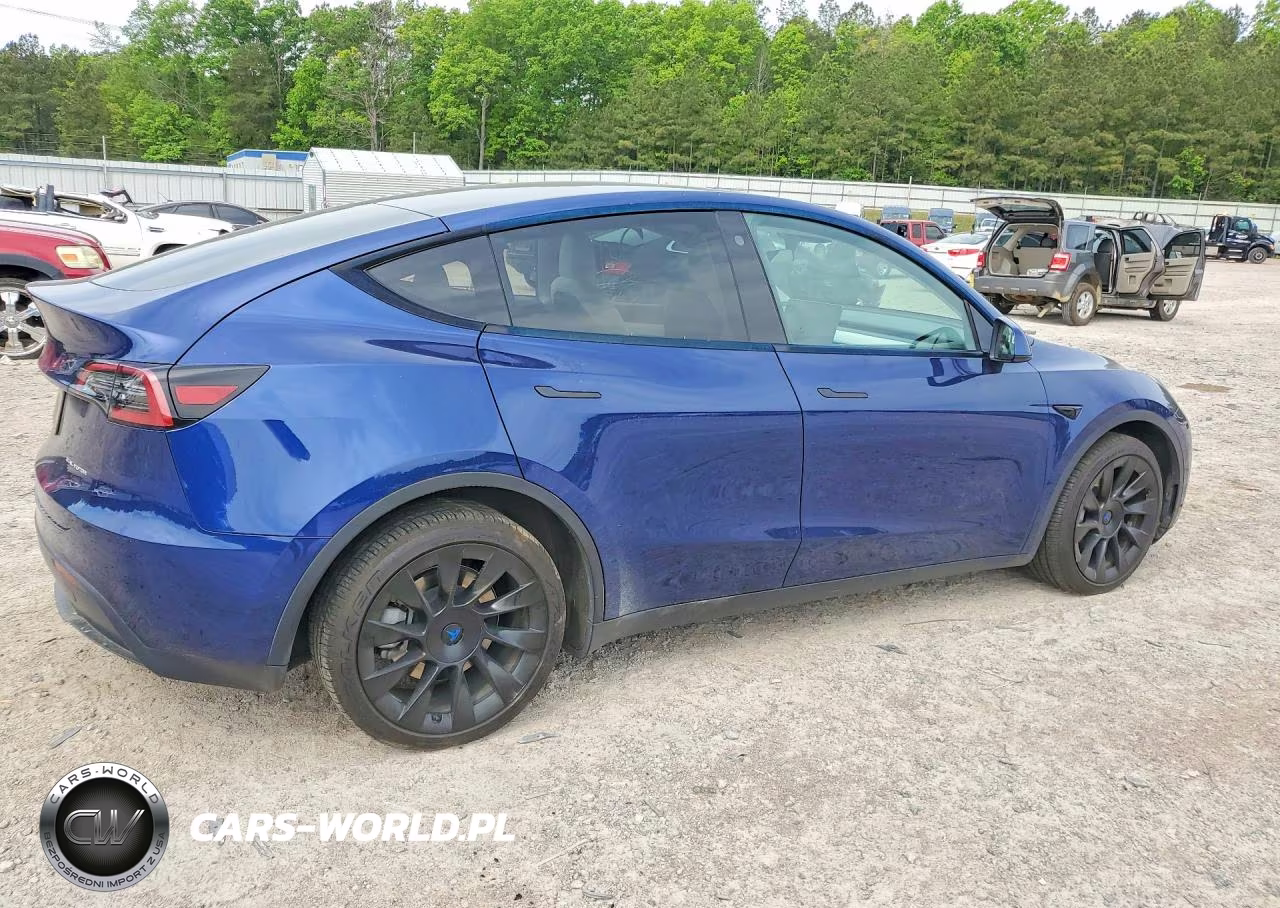2022 Tesla Model Y VIN:7SAYGDEE0NF517319 - 3