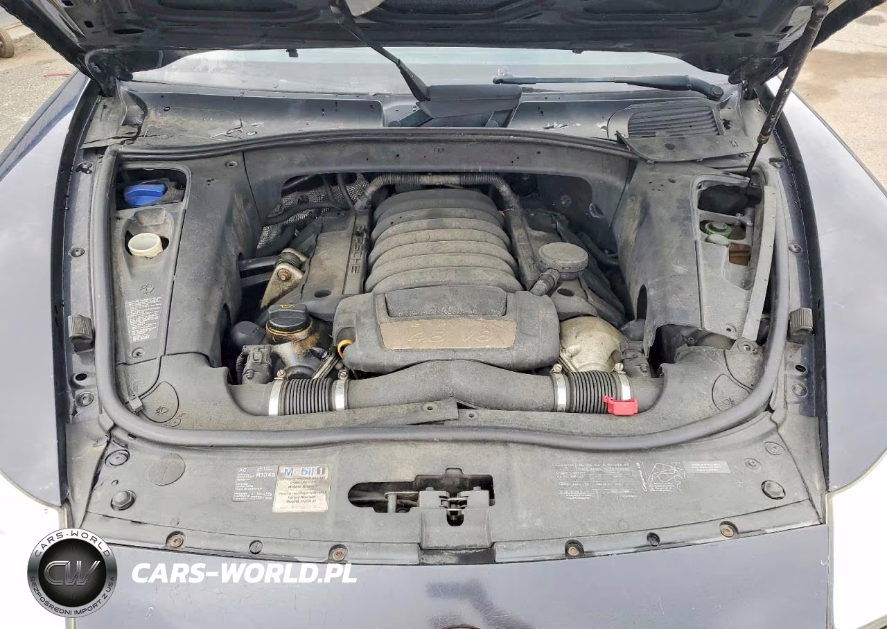 2009 Porsche Cayenne S VIN:WP1AB29P09LA45962 - 12