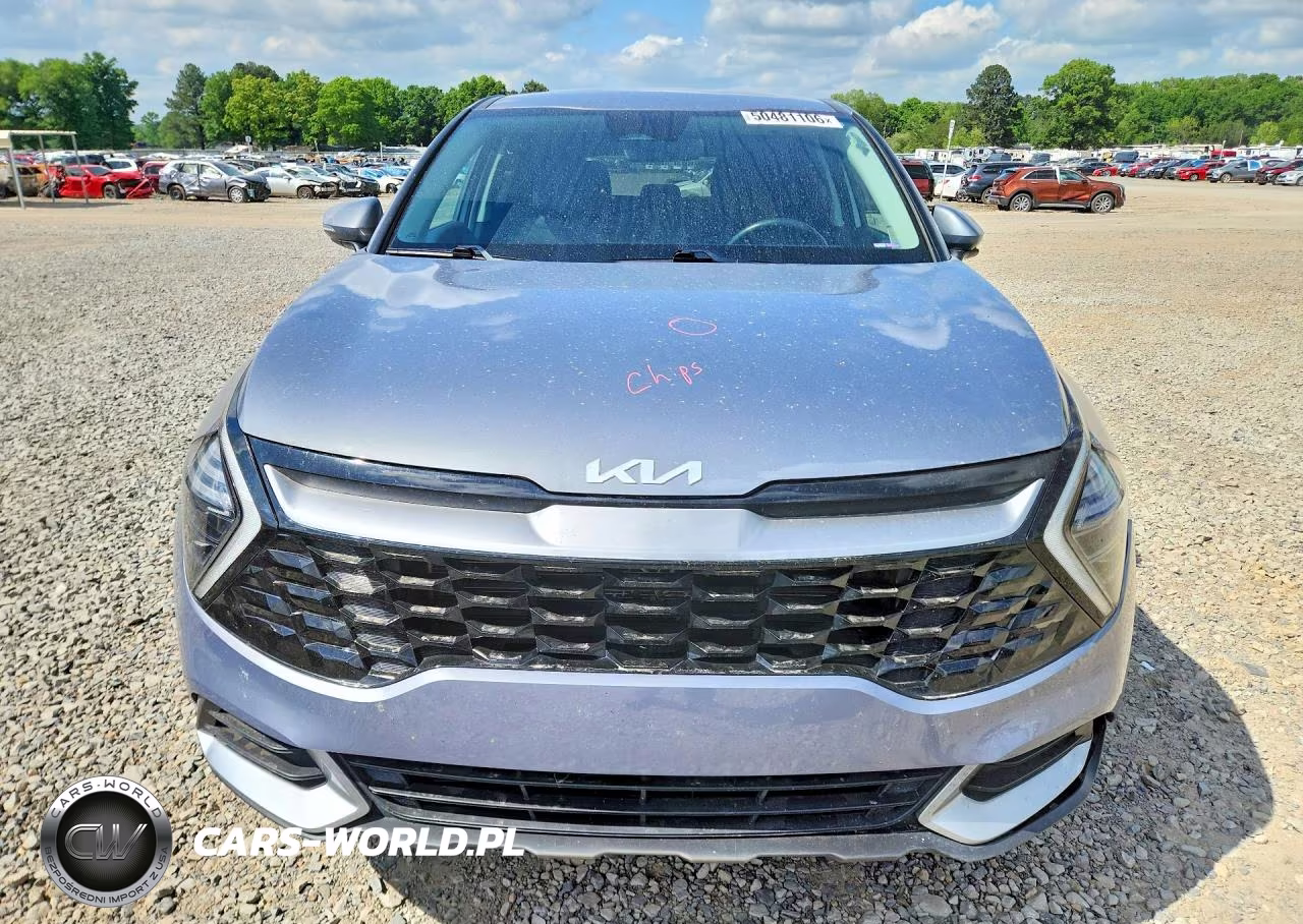 2024 Kia Sportage Ex VIN:5XYK33DF3RG167301 - 5