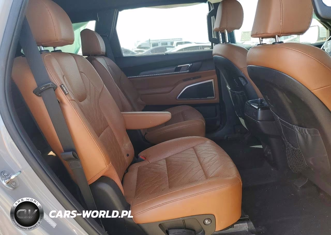 2023 Kia Telluride Ex X-Line VIN:5XYP3DGC1PG372660 - 11