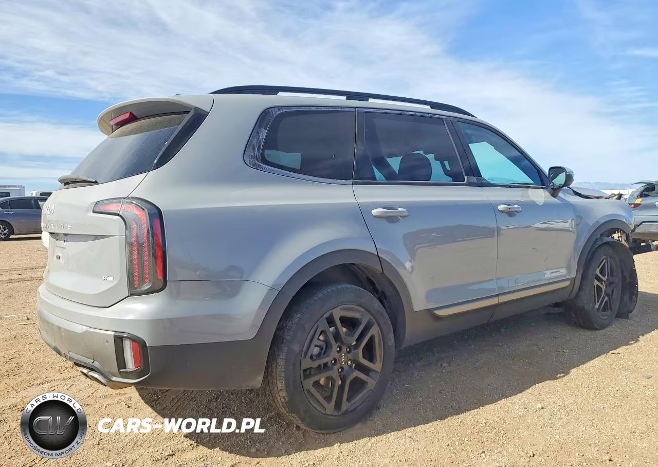 2023 Kia Telluride Ex X-Line VIN:5XYP3DGC1PG372660 - 3