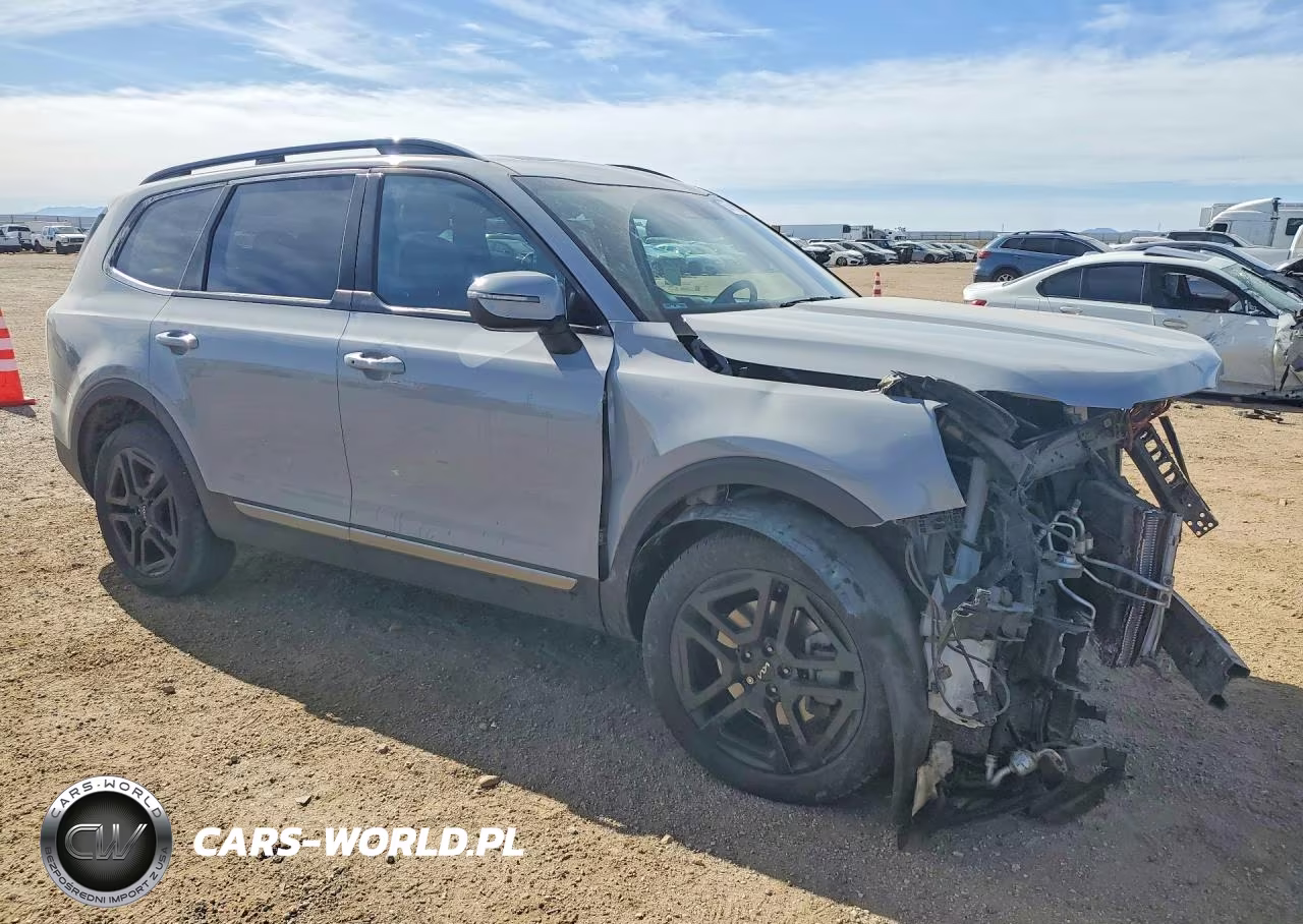 2023 Kia Telluride Ex X-Line VIN:5XYP3DGC1PG372660 - 4