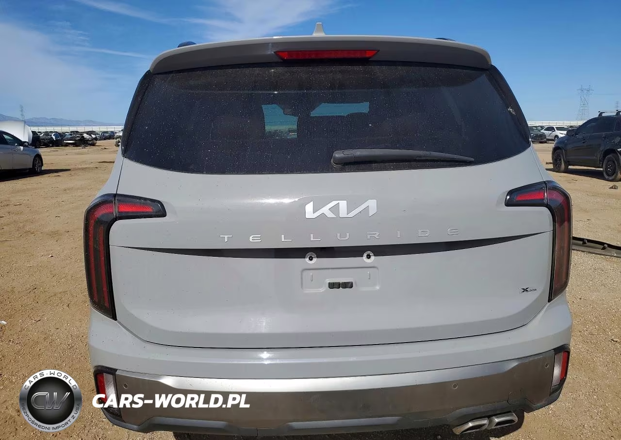 2023 Kia Telluride Ex X-Line VIN:5XYP3DGC1PG372660 - 6