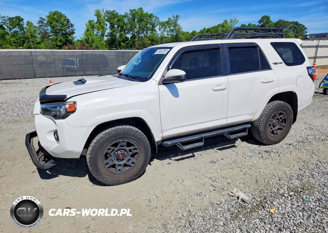 2019 Toyota 4Runner Trd Pro