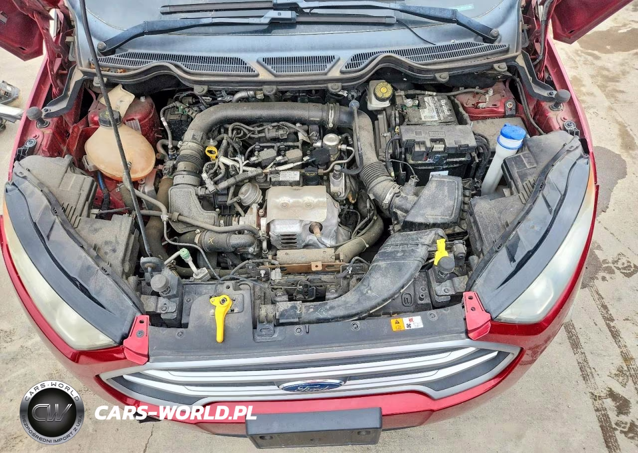 2018 Ford Ecosport Se VIN:MAJ3P1TE9JC166478 - 11