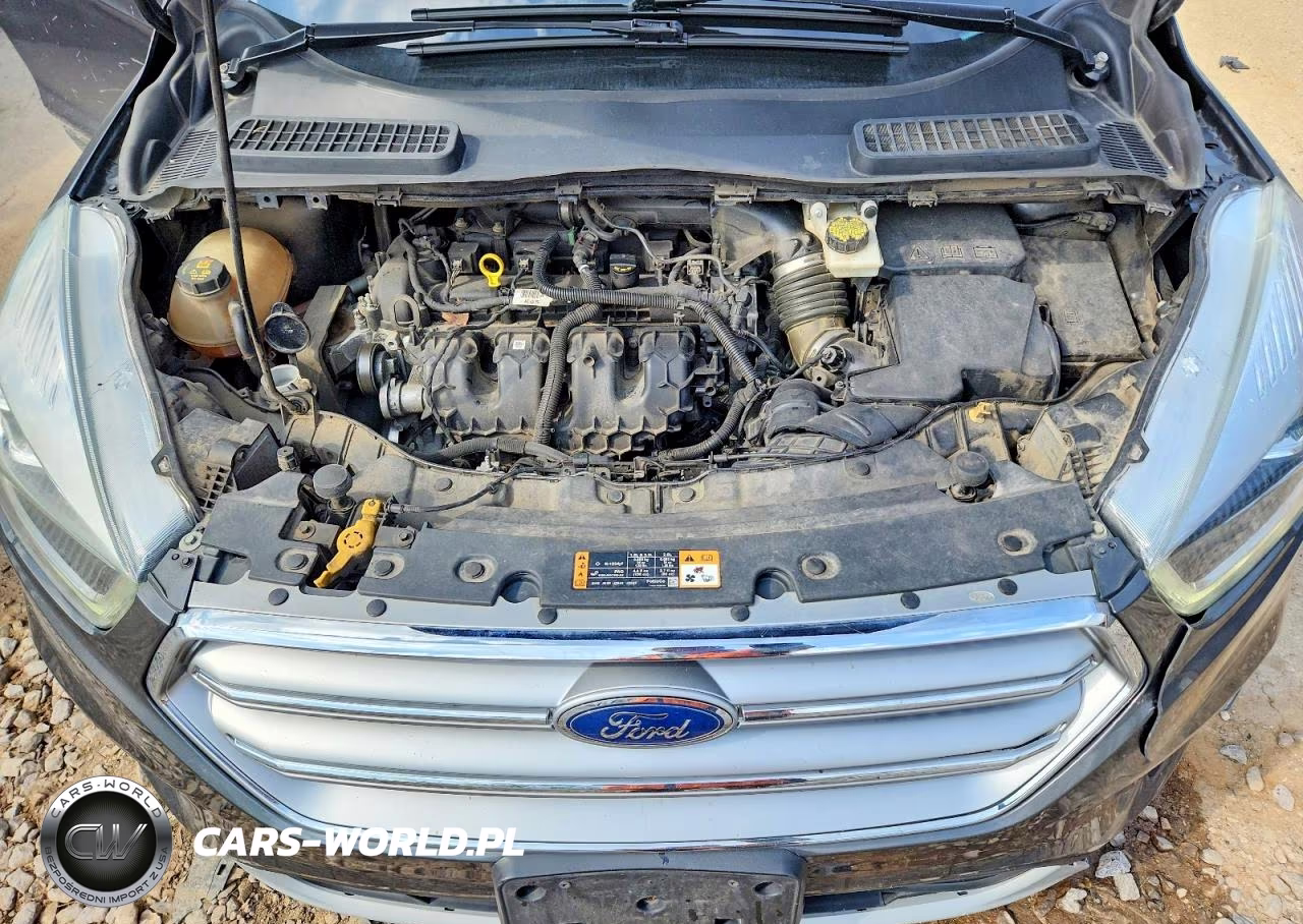 2017 Ford Escape Se VIN:1FMCU9G97HUB22879 - 12