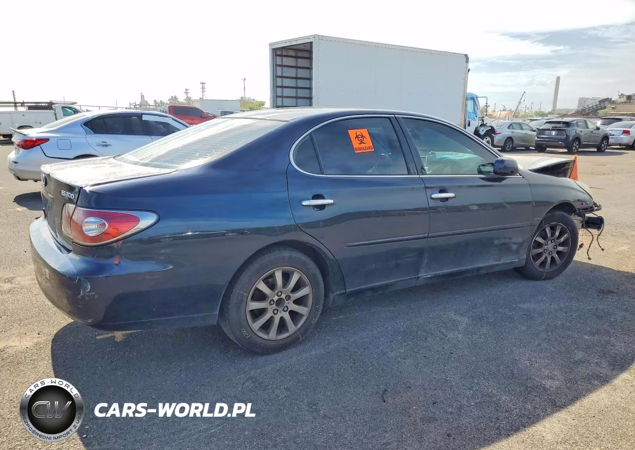 2003 Lexus Es 300 VIN:JTHBF30G436010181 - 3