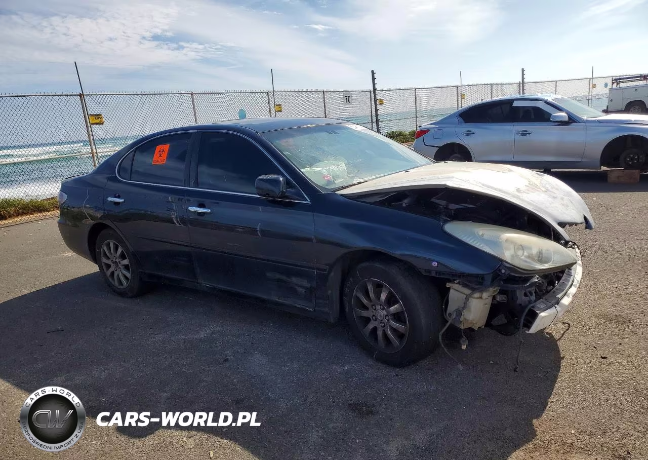 2003 Lexus Es 300 VIN:JTHBF30G436010181 - 4