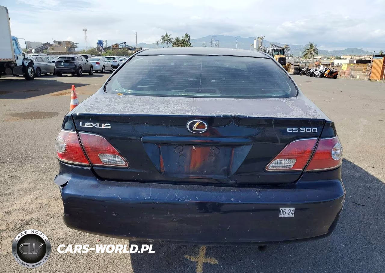 2003 Lexus Es 300 VIN:JTHBF30G436010181 - 6