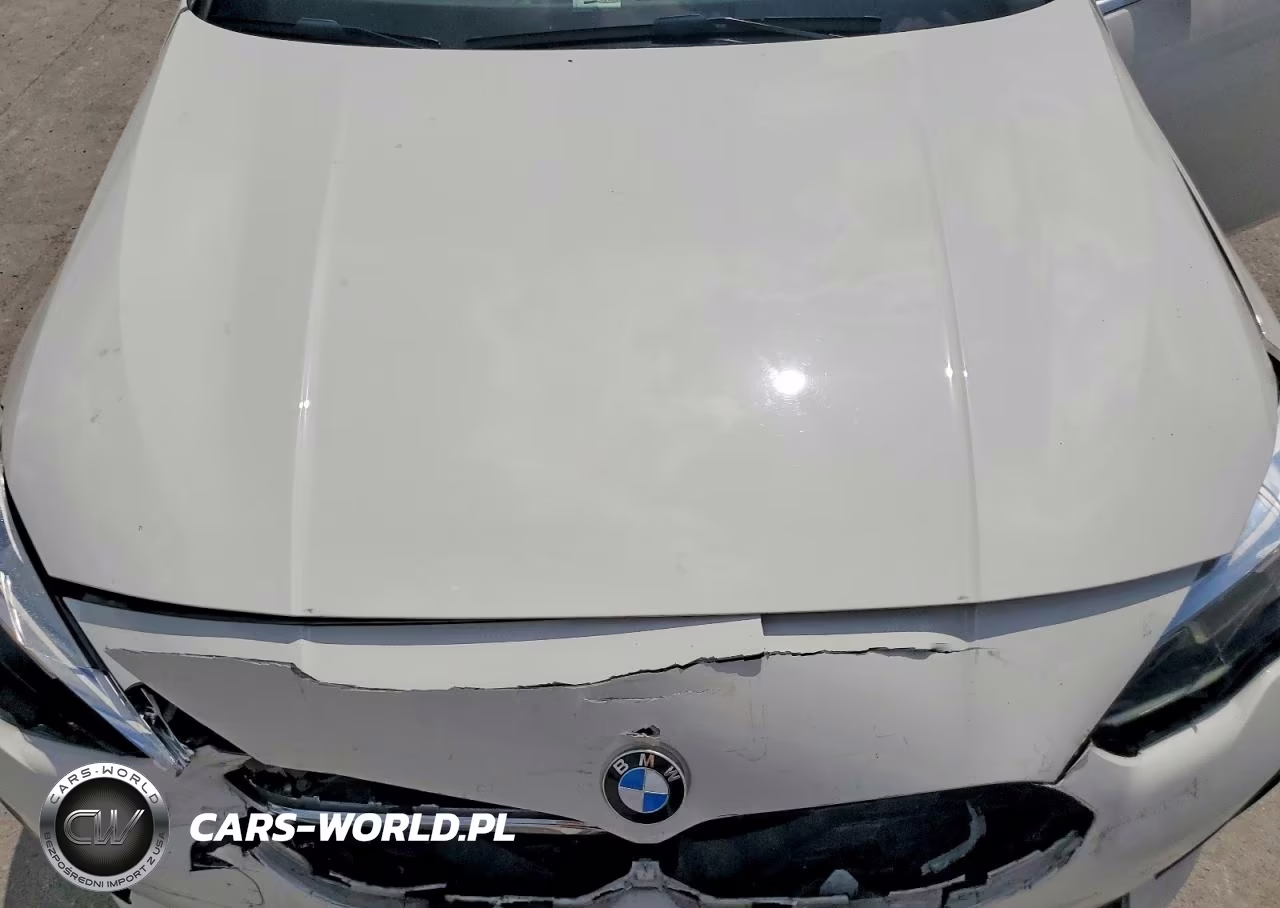 2020 BMW 228Xi VIN:WBA73AK05L7F70015 - 11