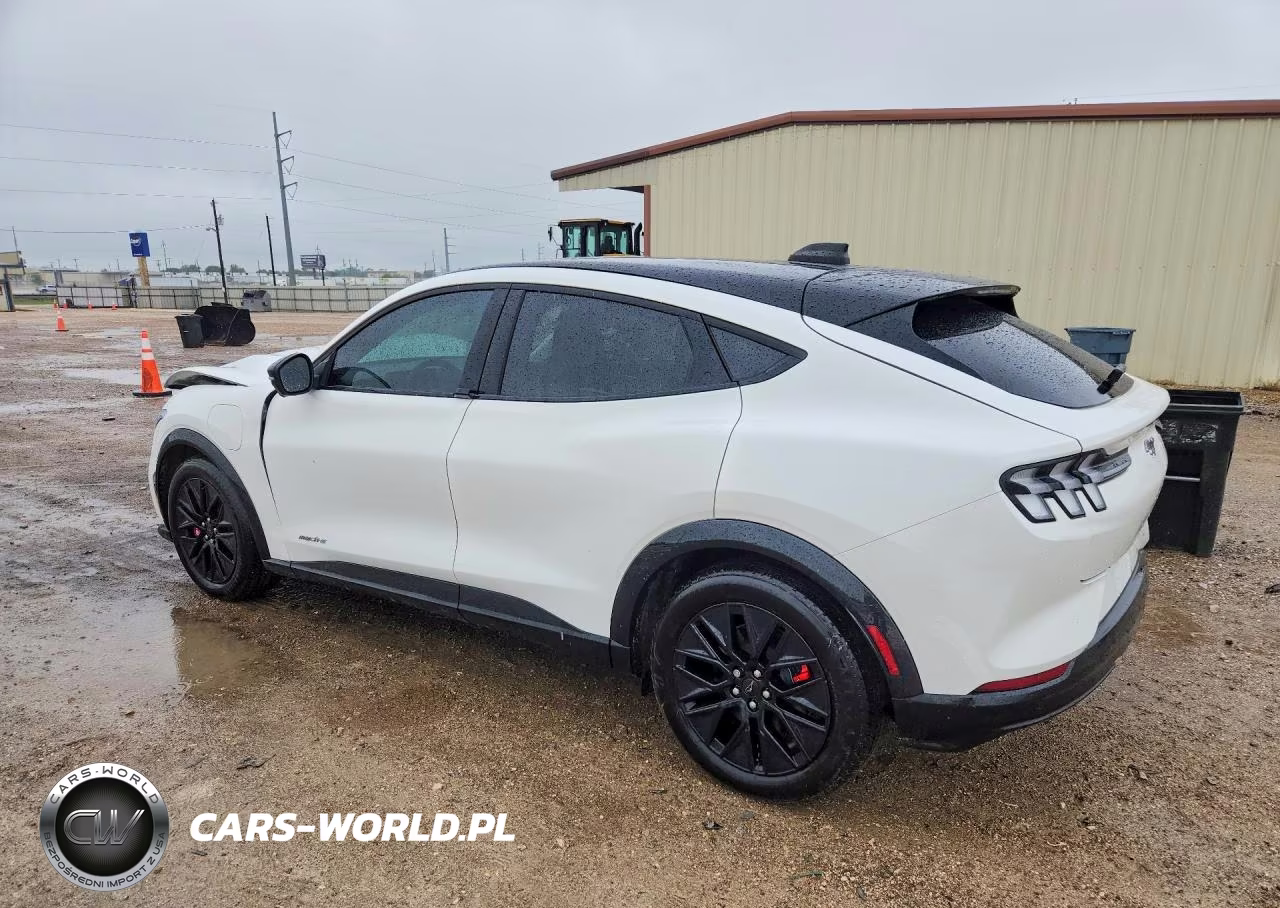 2025 Ford Mustang Mach-E Premium VIN:3FMTK3R73SMA54896 - 2