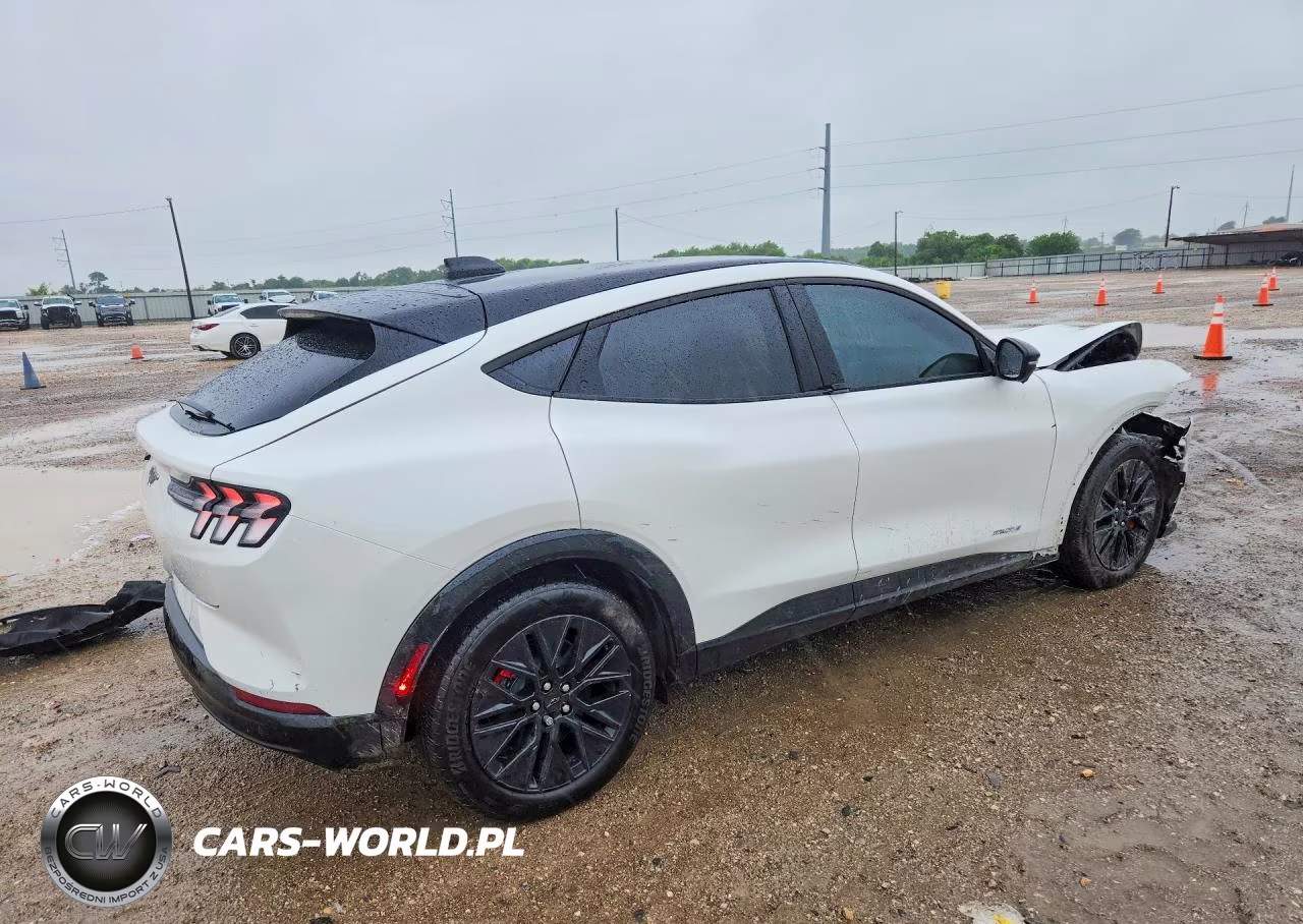2025 Ford Mustang Mach-E Premium VIN:3FMTK3R73SMA54896 - 3