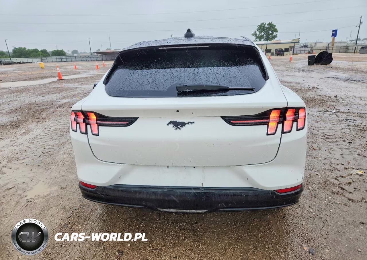 2025 Ford Mustang Mach-E Premium VIN:3FMTK3R73SMA54896 - 6
