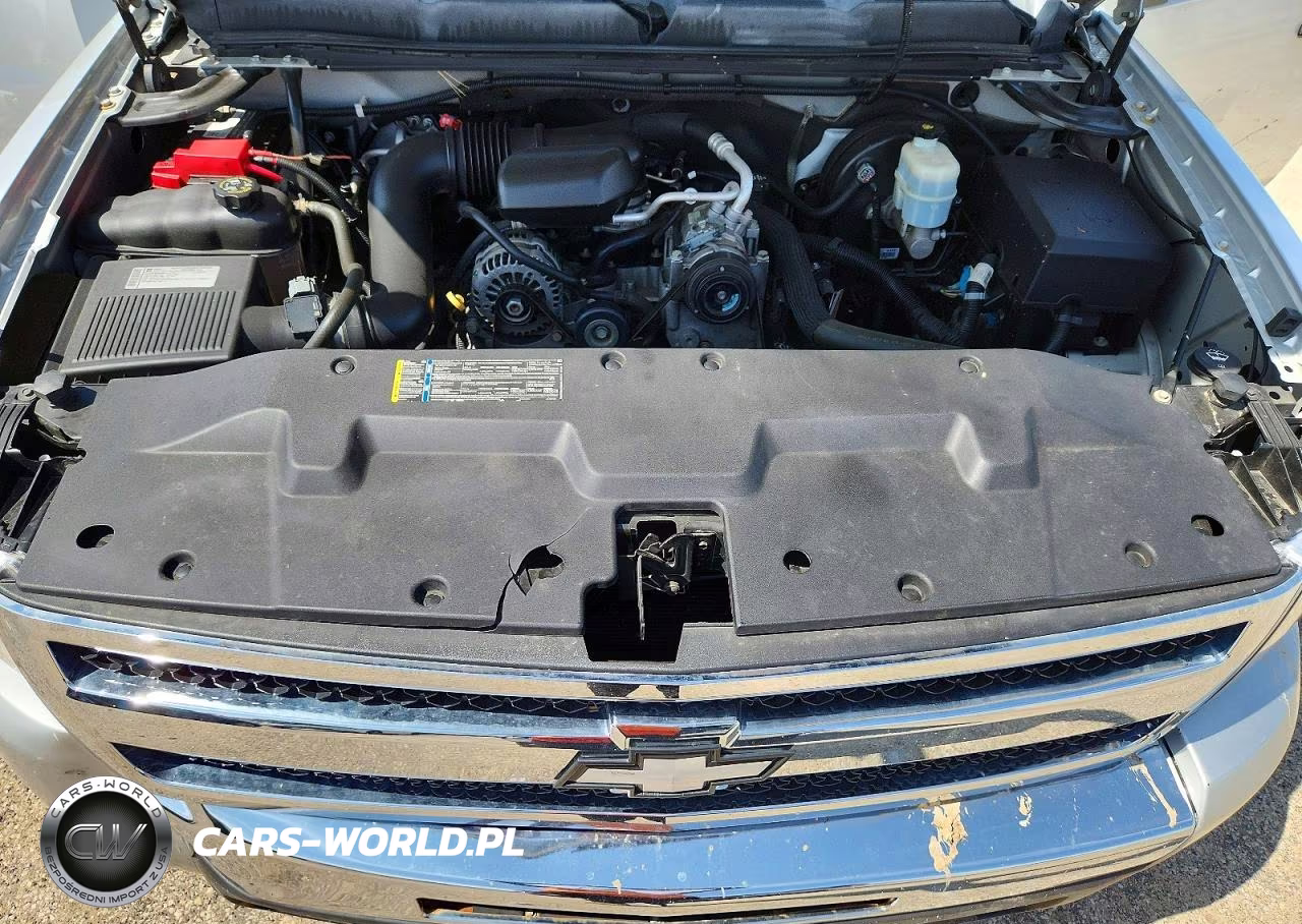 2010 Chevrolet Silverado C1500 VIN:1GCPCPEX9AZ297268 - 11