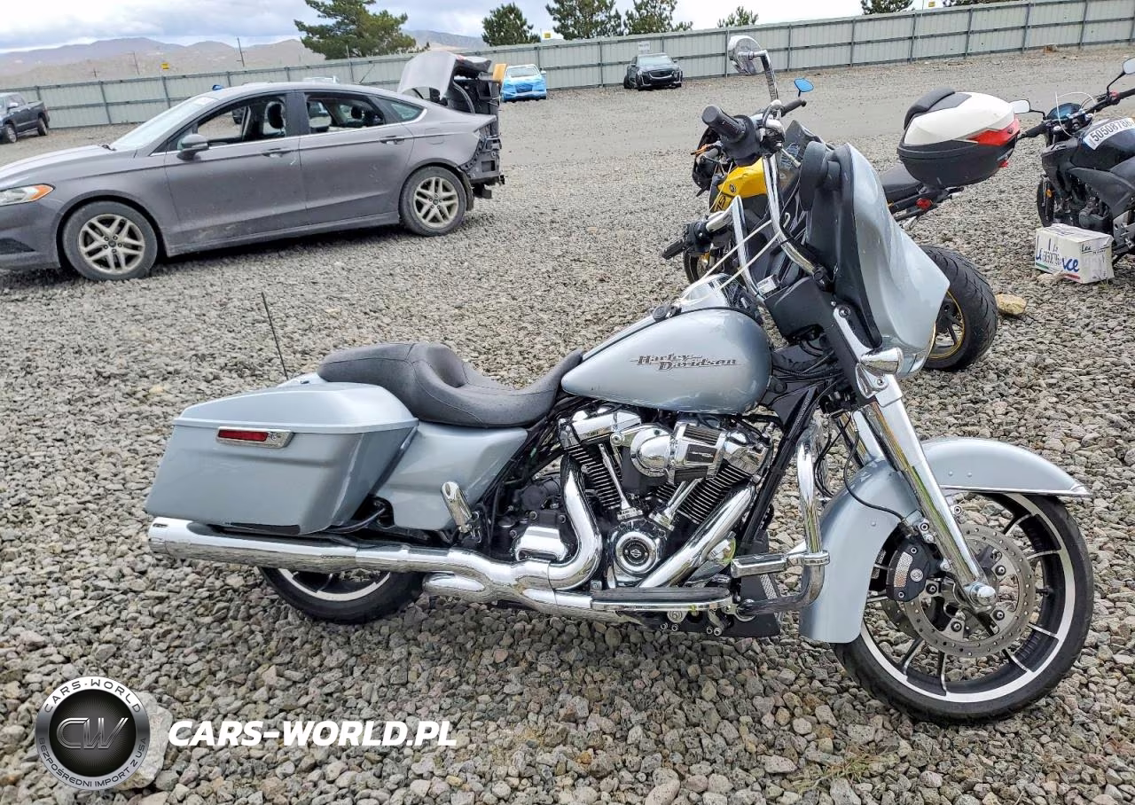 2020 Harley-Davidson Flhx