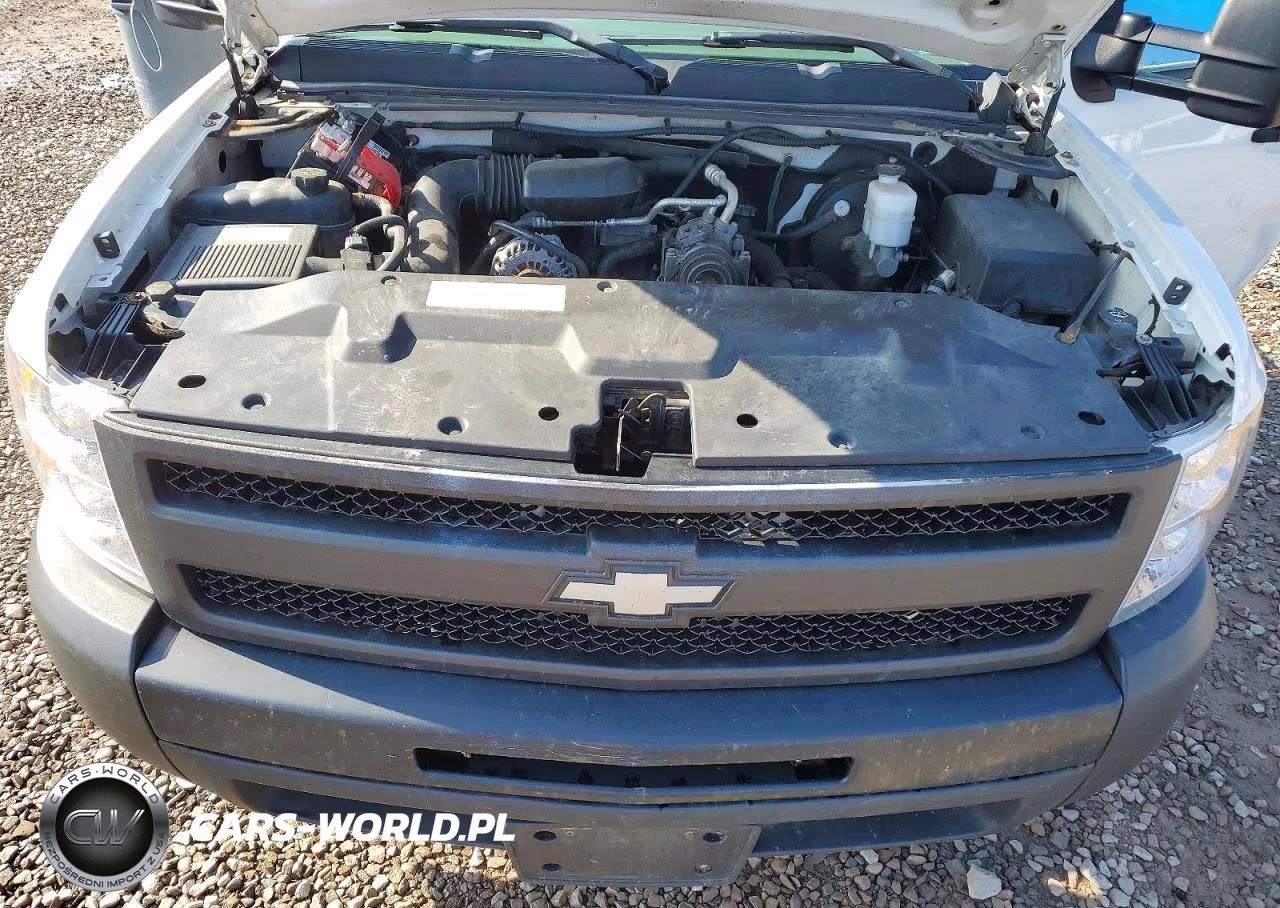 2009 Chevrolet Silverado C1500 VIN:1GCEC14X99Z144455 - 11