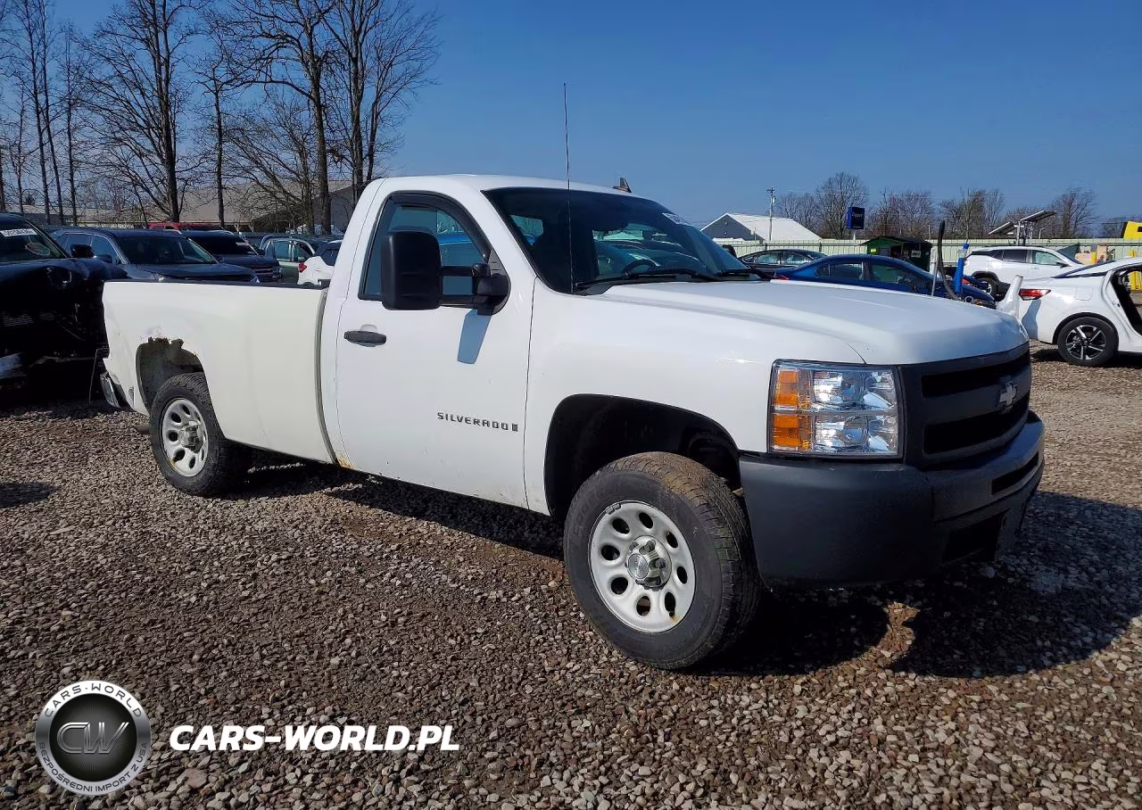 2009 Chevrolet Silverado C1500 VIN:1GCEC14X99Z144455 - 4