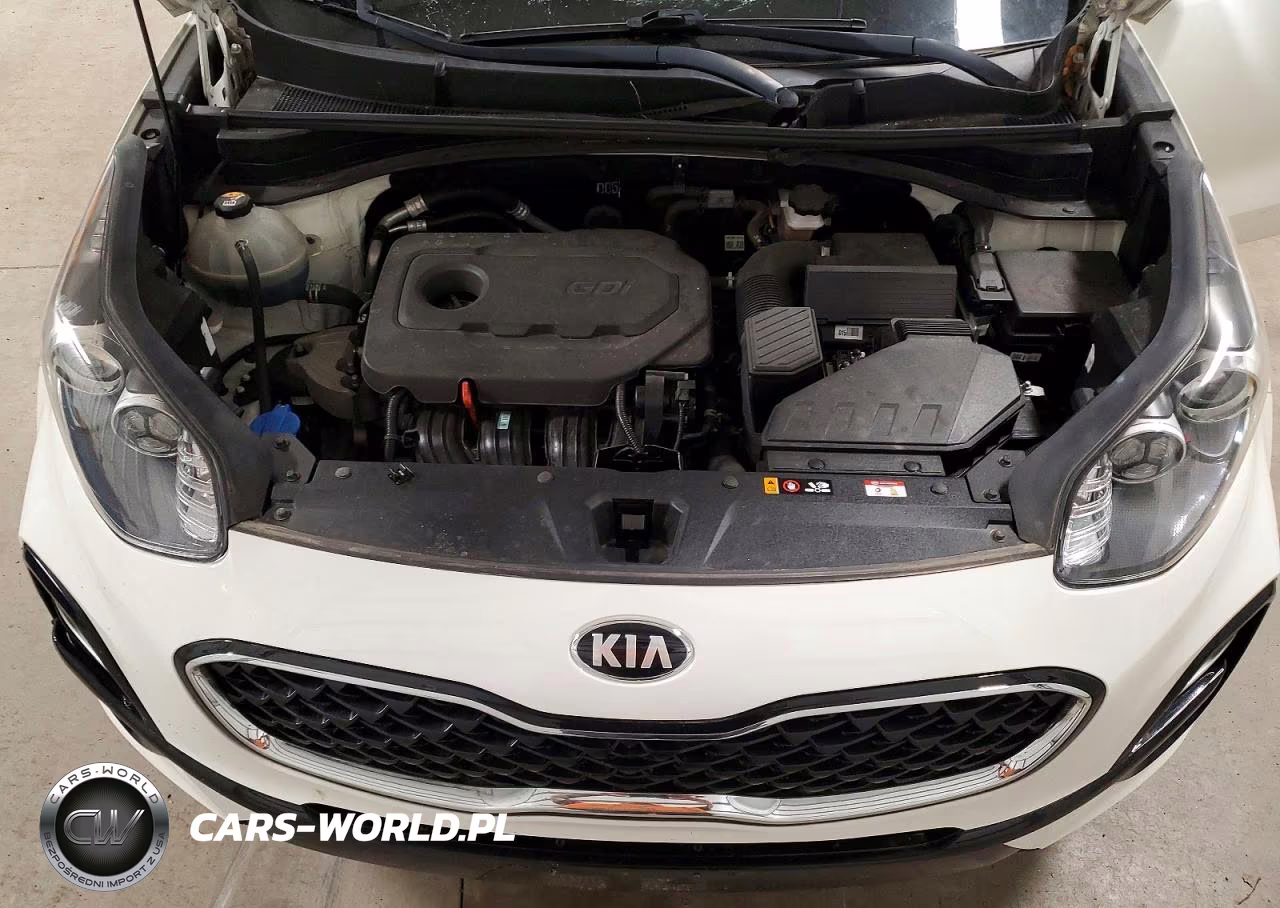 2020 Kia Sportage Lx VIN:KNDPMCAC5L7737784 - 12
