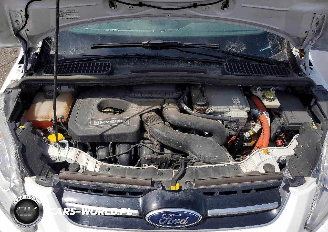 2013 Ford C-Max Sel VIN:1FADP5BU1DL511687 - 11