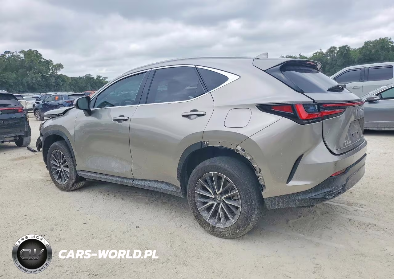2024 Lexus Nx 350 Premium VIN:2T2GGCEZ9RC050056 - 2