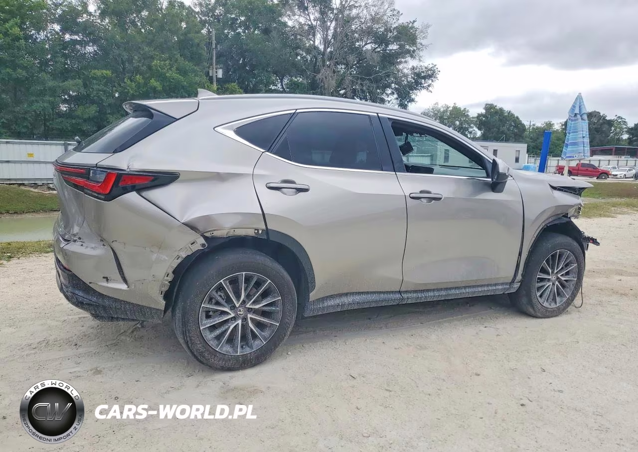 2024 Lexus Nx 350 Premium VIN:2T2GGCEZ9RC050056 - 3