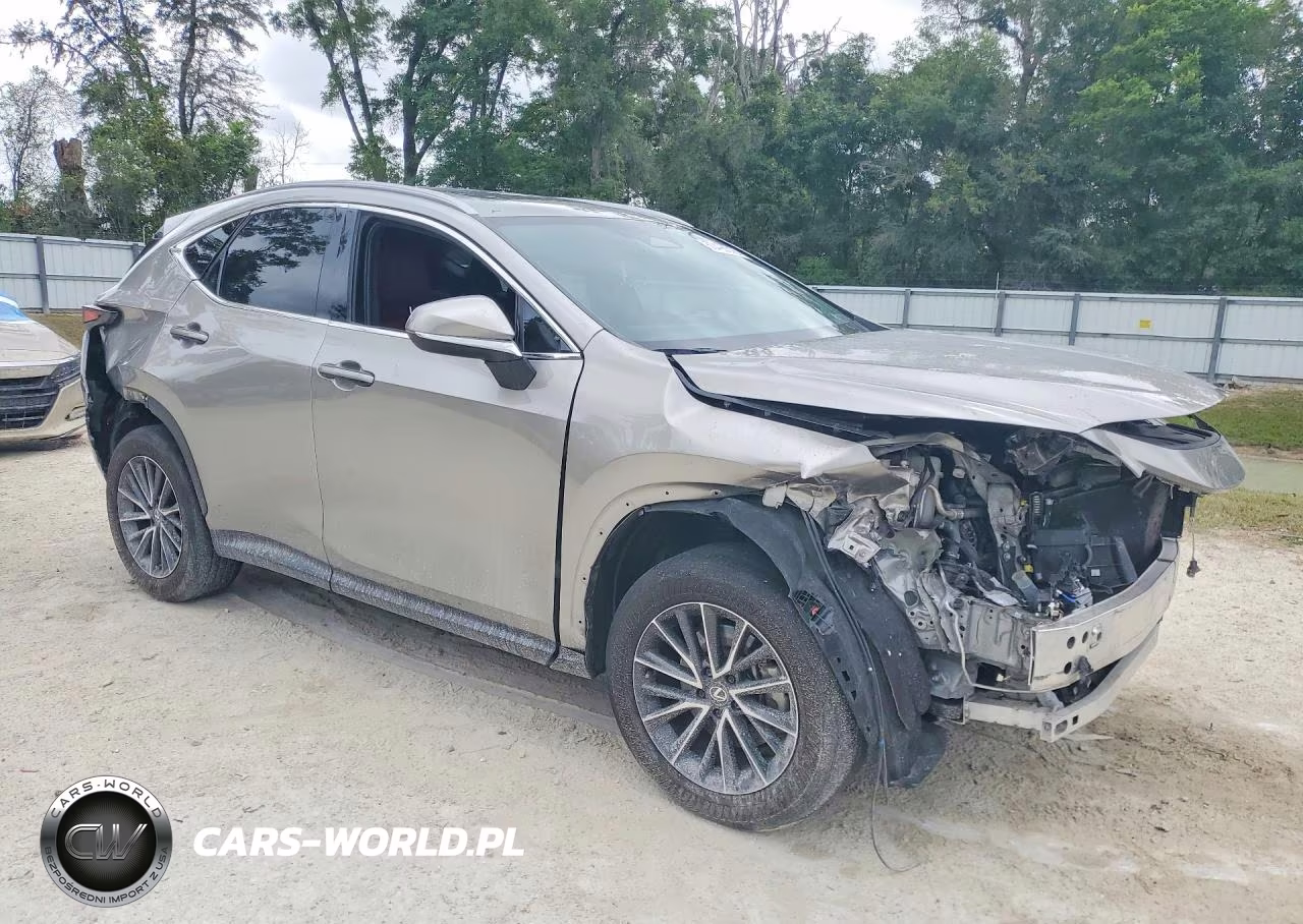2024 Lexus Nx 350 Premium VIN:2T2GGCEZ9RC050056 - 4