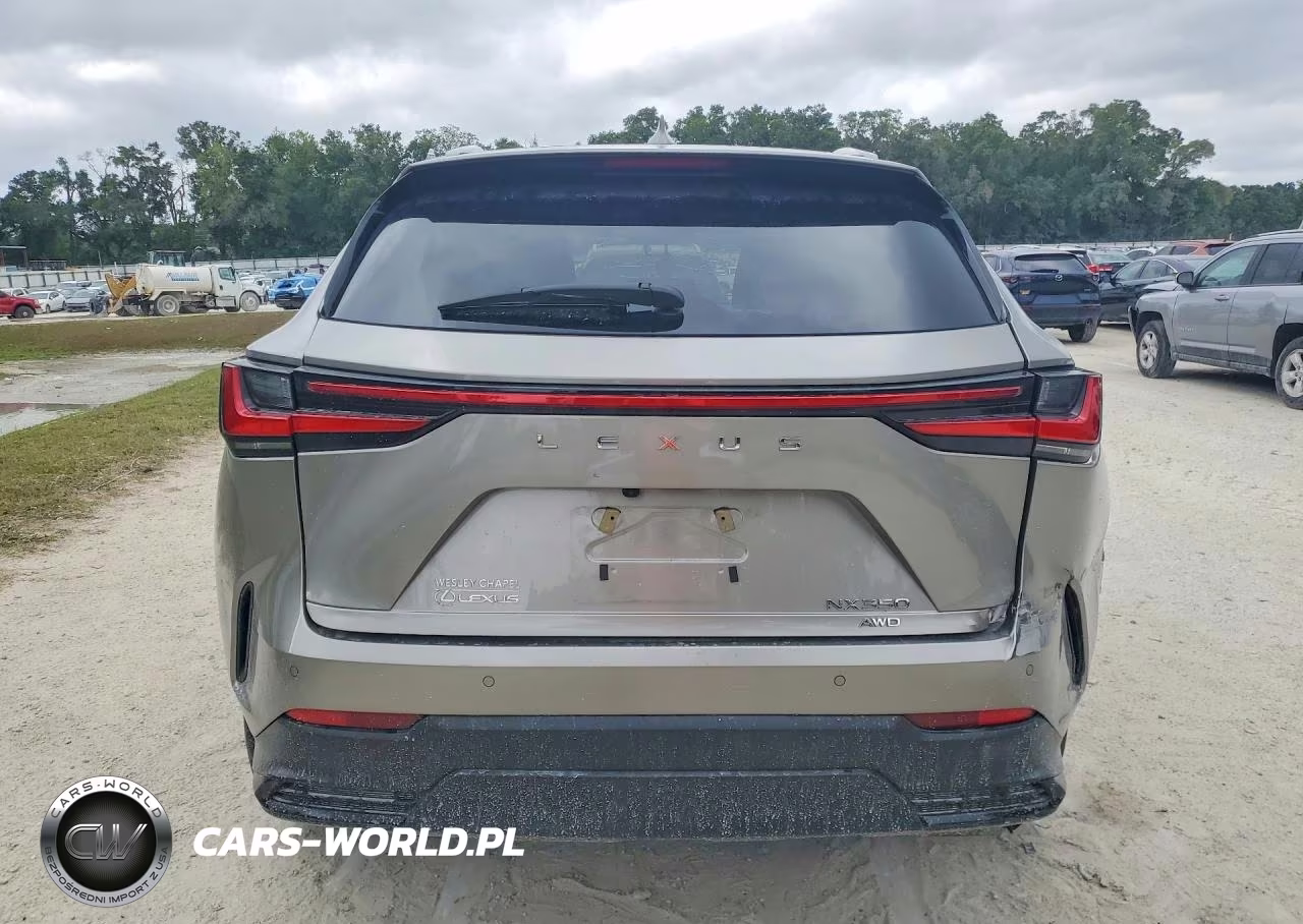 2024 Lexus Nx 350 Premium VIN:2T2GGCEZ9RC050056 - 6