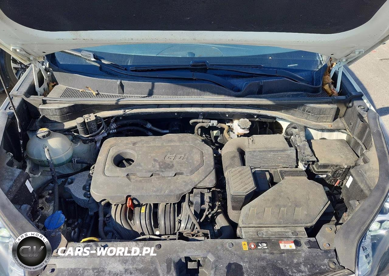 2020 Kia Sportage Ex VIN:KNDPNCACXL7753122 - 12