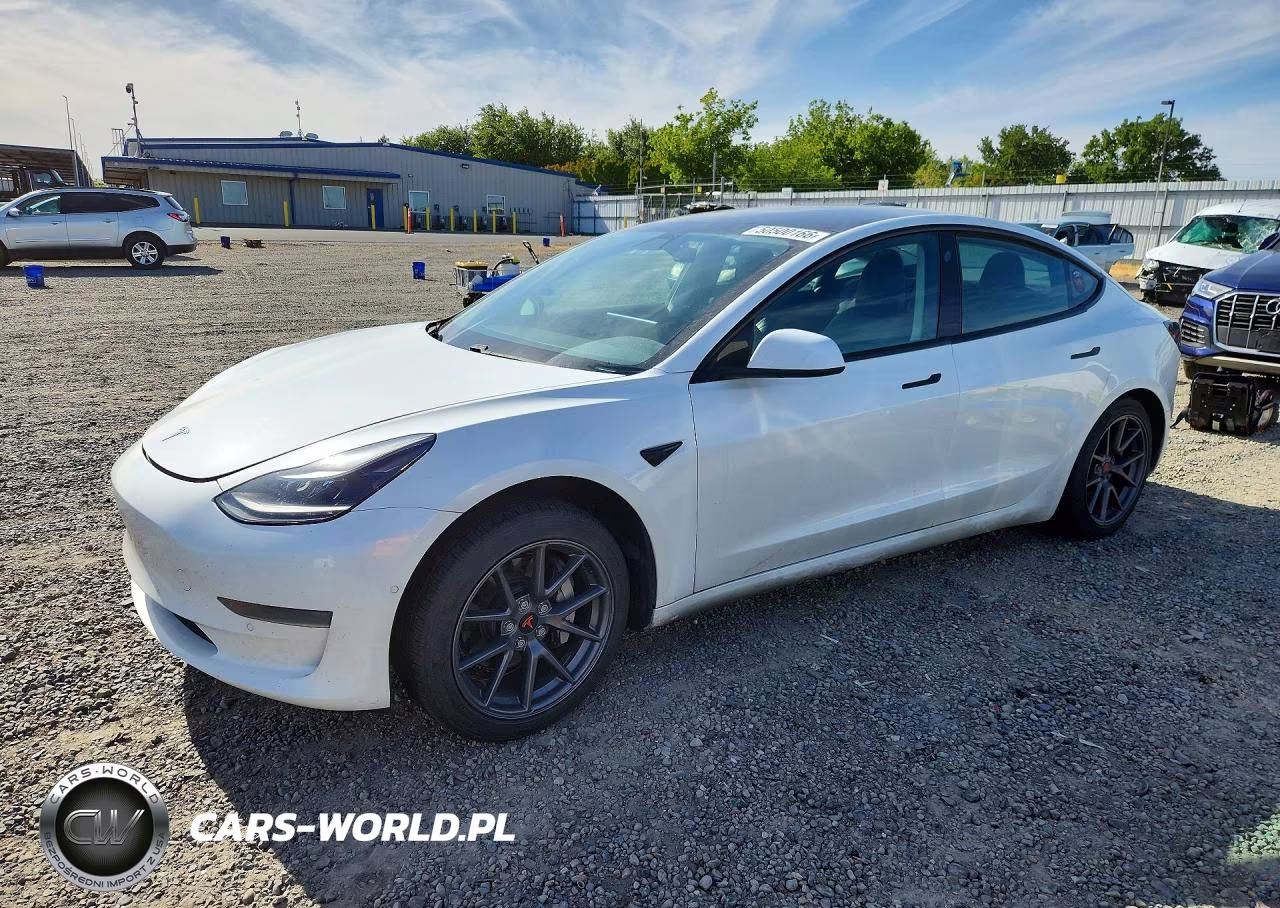 2021 Tesla Model 3 VIN:5YJ3E1EA9MF078256 - 1
