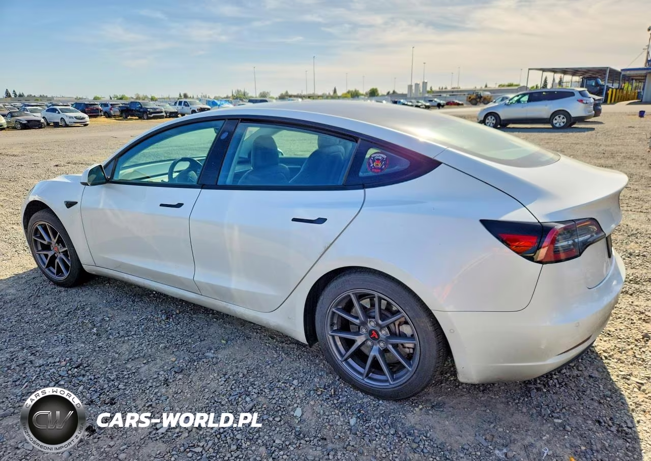 2021 Tesla Model 3 VIN:5YJ3E1EA9MF078256 - 2