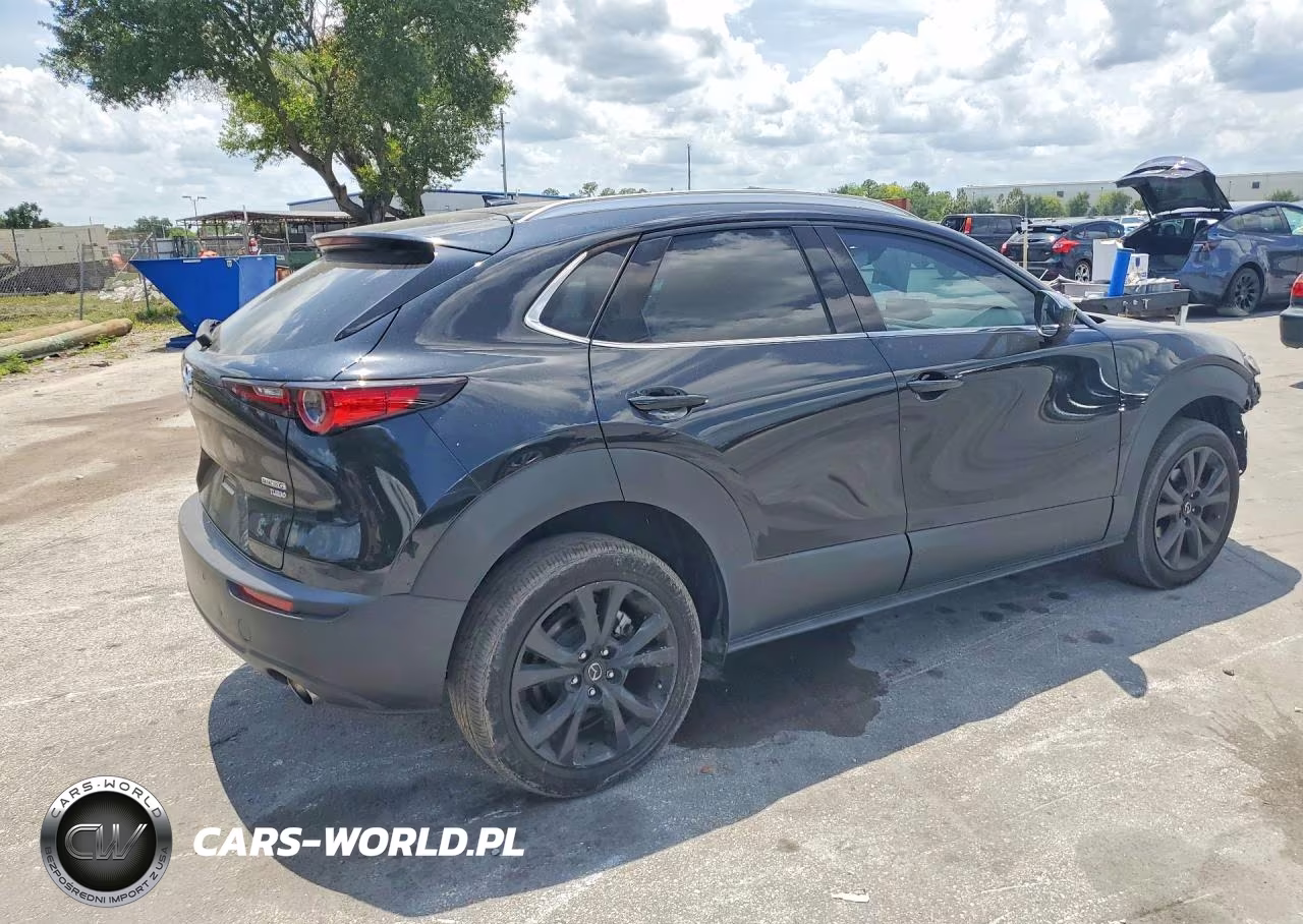 2022 Mazda Cx-30 Premium Plus VIN:3MVDMBEY0NM450251 - 3
