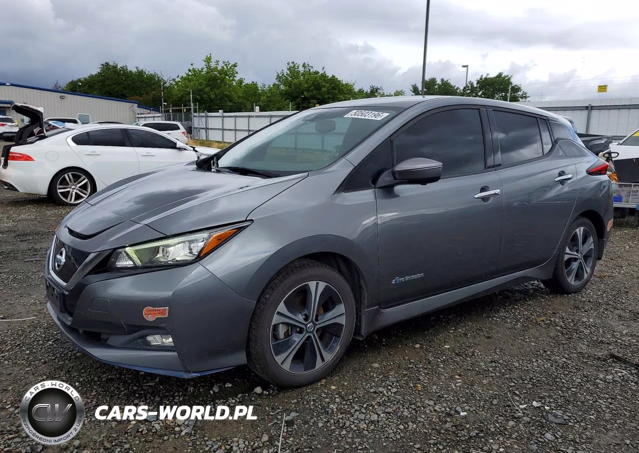 2019 Nissan Leaf Sl Plus