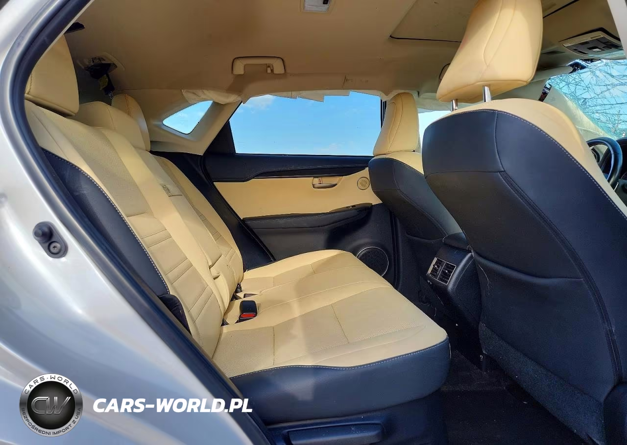2021 Lexus Nx 300 Base VIN:JTJGARBZ7M5028055 - 11