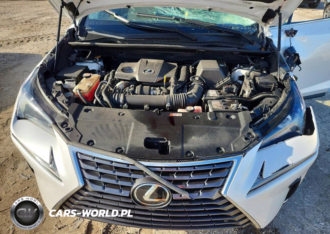 2021 Lexus Nx 300 Base VIN:JTJGARBZ7M5028055 - 12