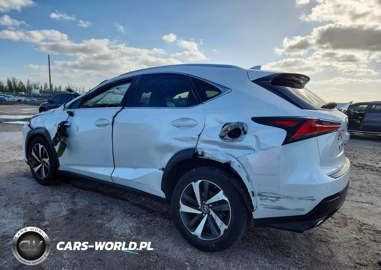 2021 Lexus Nx 300 Base VIN:JTJGARBZ7M5028055 - 2