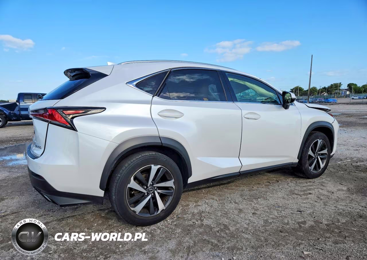 2021 Lexus Nx 300 Base VIN:JTJGARBZ7M5028055 - 3