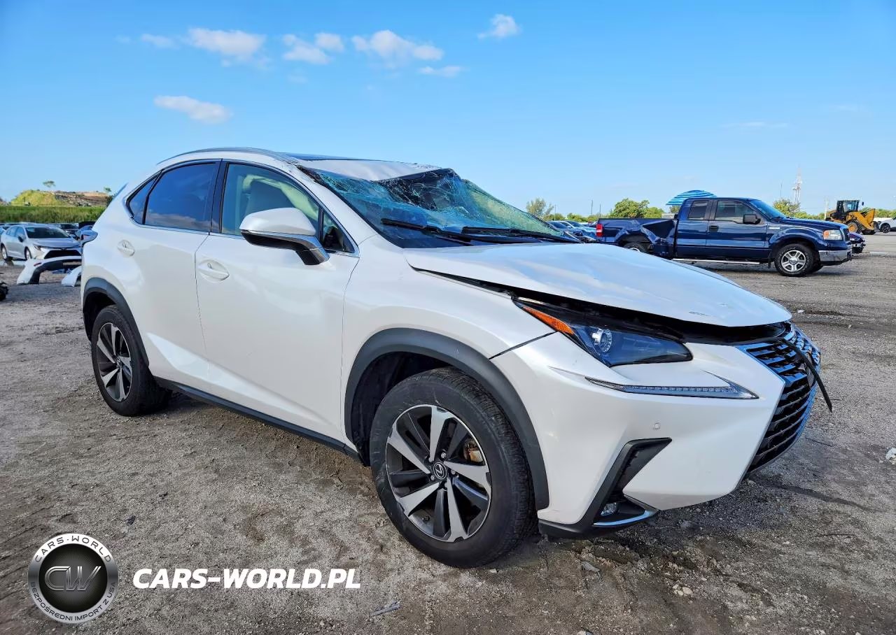 2021 Lexus Nx 300 Base VIN:JTJGARBZ7M5028055 - 4