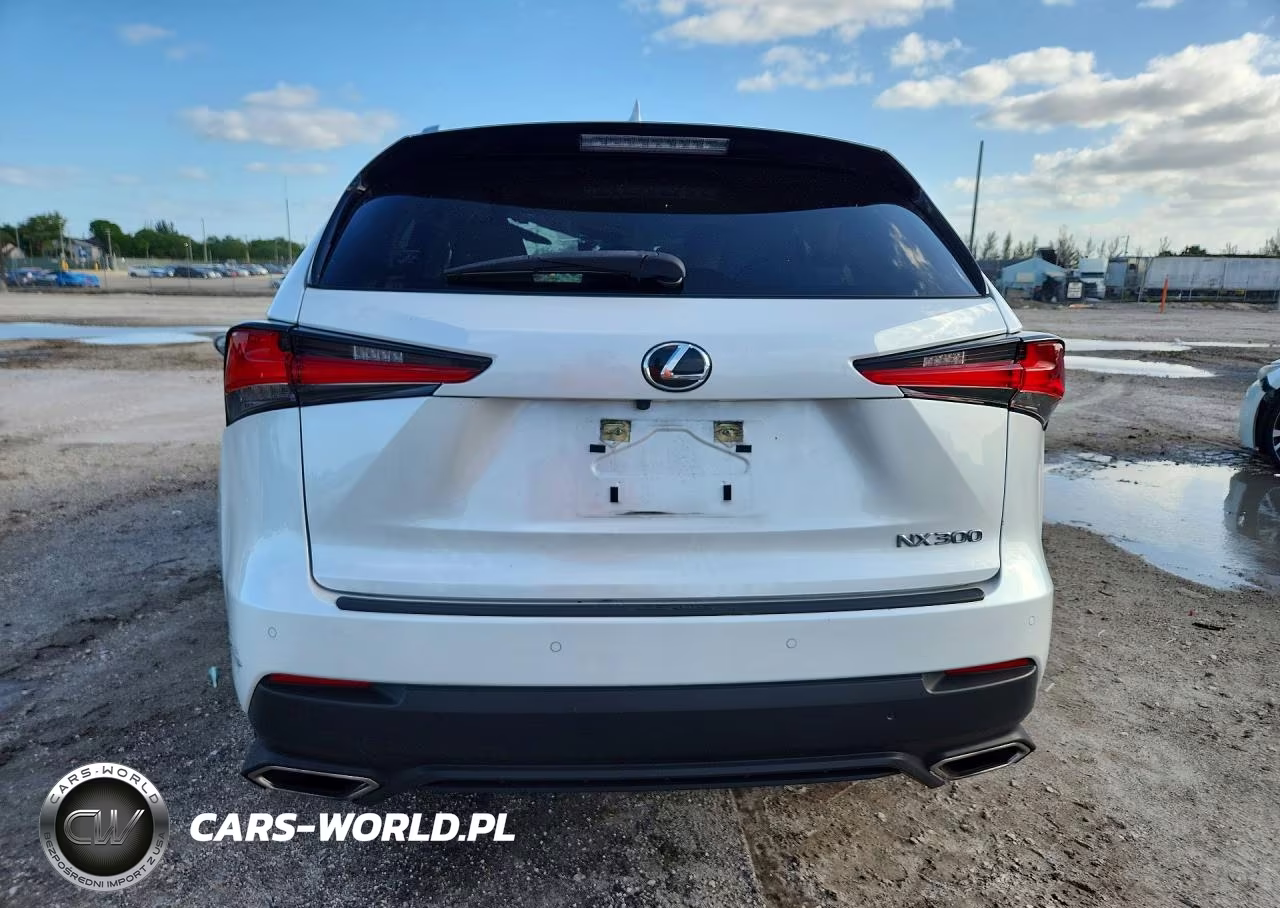 2021 Lexus Nx 300 Base VIN:JTJGARBZ7M5028055 - 6