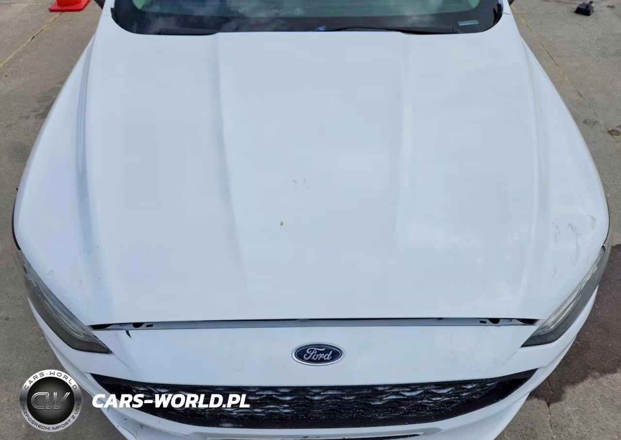 2018 Ford Fusion Se Hybrid VIN:3FA6P0LU8JR137618 - 11