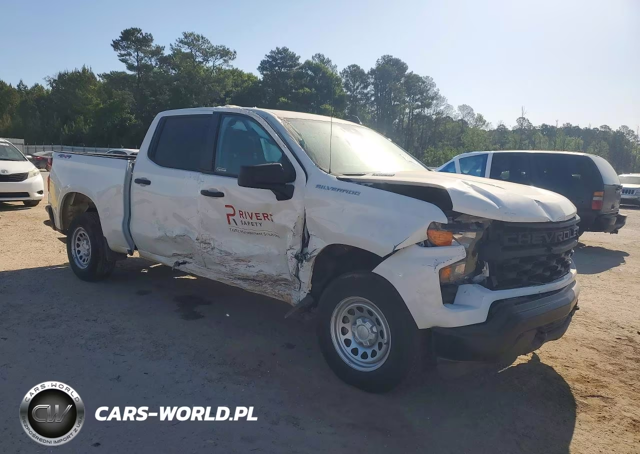 2025 Chevrolet Silverado K1500 VIN:3GCPKAEK6SG366391 - 4