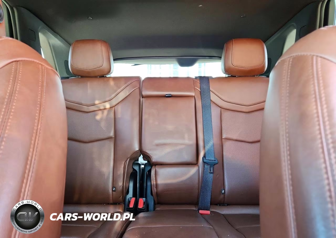 2020 Cadillac Xt5 Premium Luxury VIN:1GYKNCRS9LZ156158 - 10