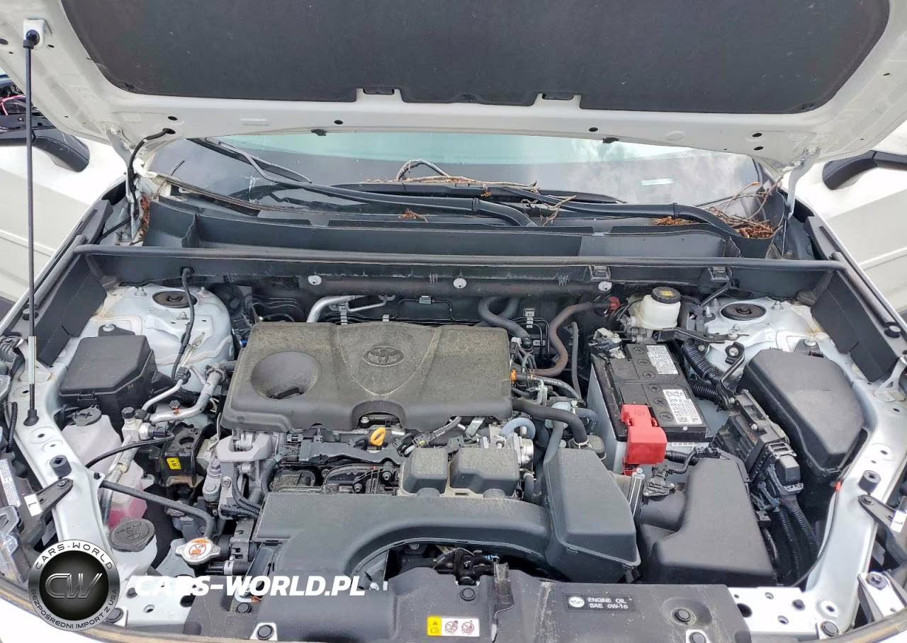 2022 Toyota Rav4 Xle Premium VIN:2T3A1RFV8NW323241 - 12