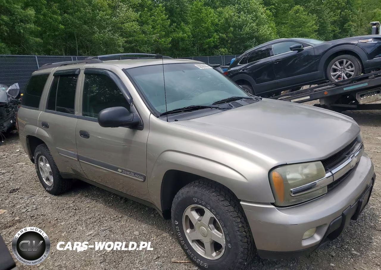 2002 Chevrolet Trailblazer VIN:1GNDS13S422462512 - 4