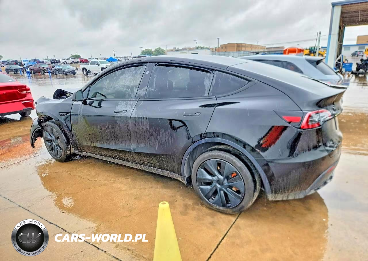 2025 Tesla Model Y VIN:7SAYGDEE9SA344604 - 2