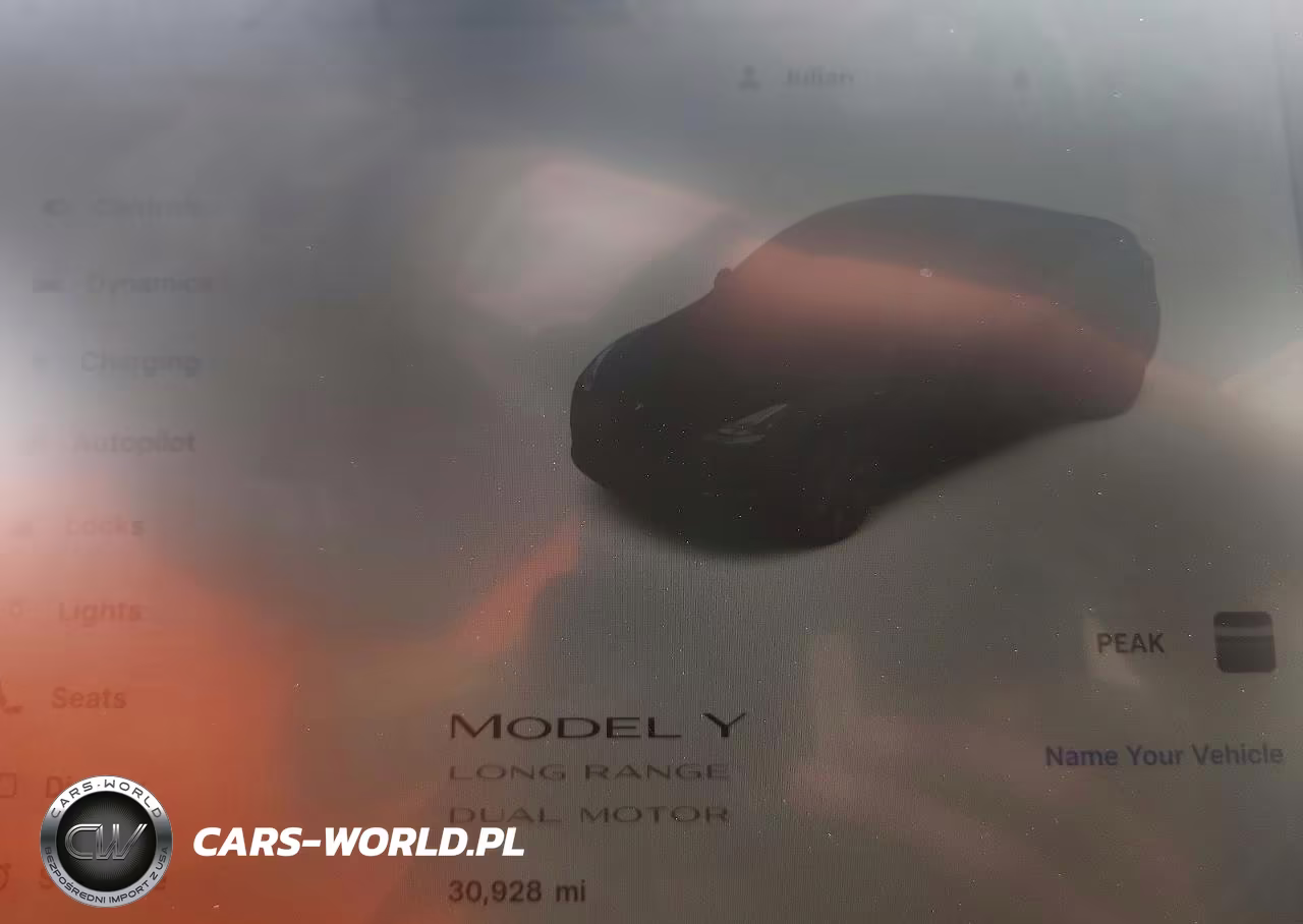 2025 Tesla Model Y VIN:7SAYGDEE9SA344604 - 9